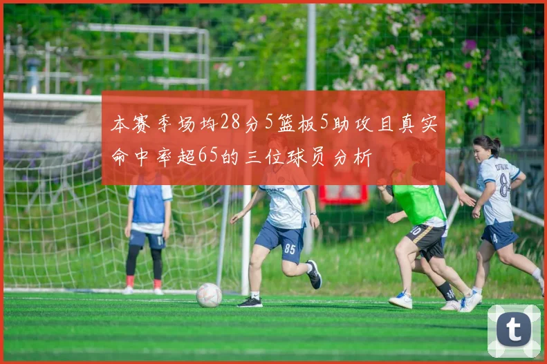 本赛季场均28分5篮板5助攻且真实命中率超65的三位球员分析