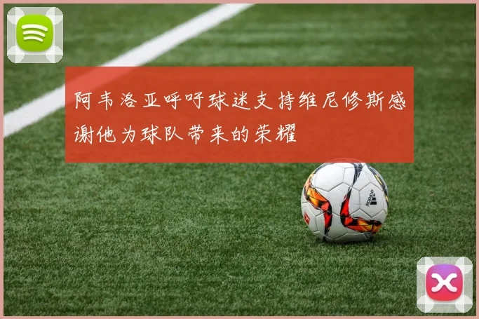 阿韦洛亚呼吁球迷支持维尼修斯感谢他为球队带来的荣耀